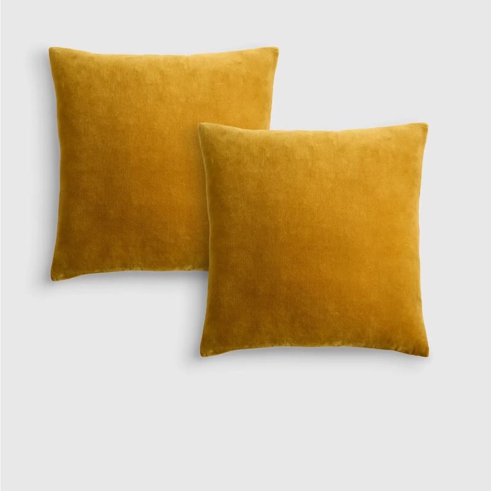 Quince velvet pillow covers 20x20